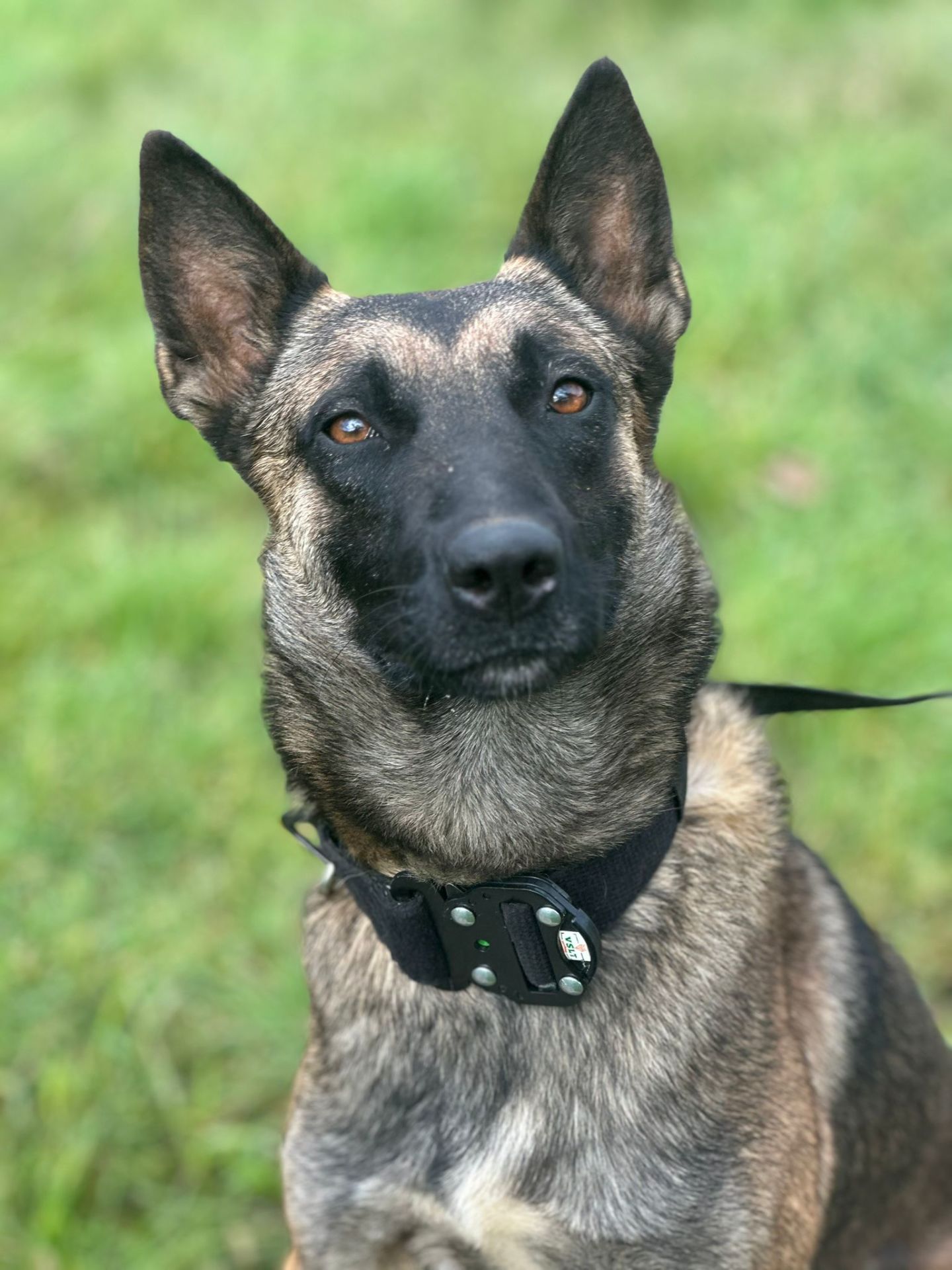 Tactical Büyük Irk Köpek Tasması K9. EN 4 CM