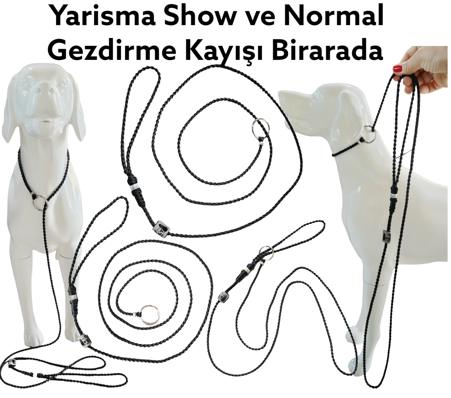 Köpek Yarışma Tasma & Kayışı