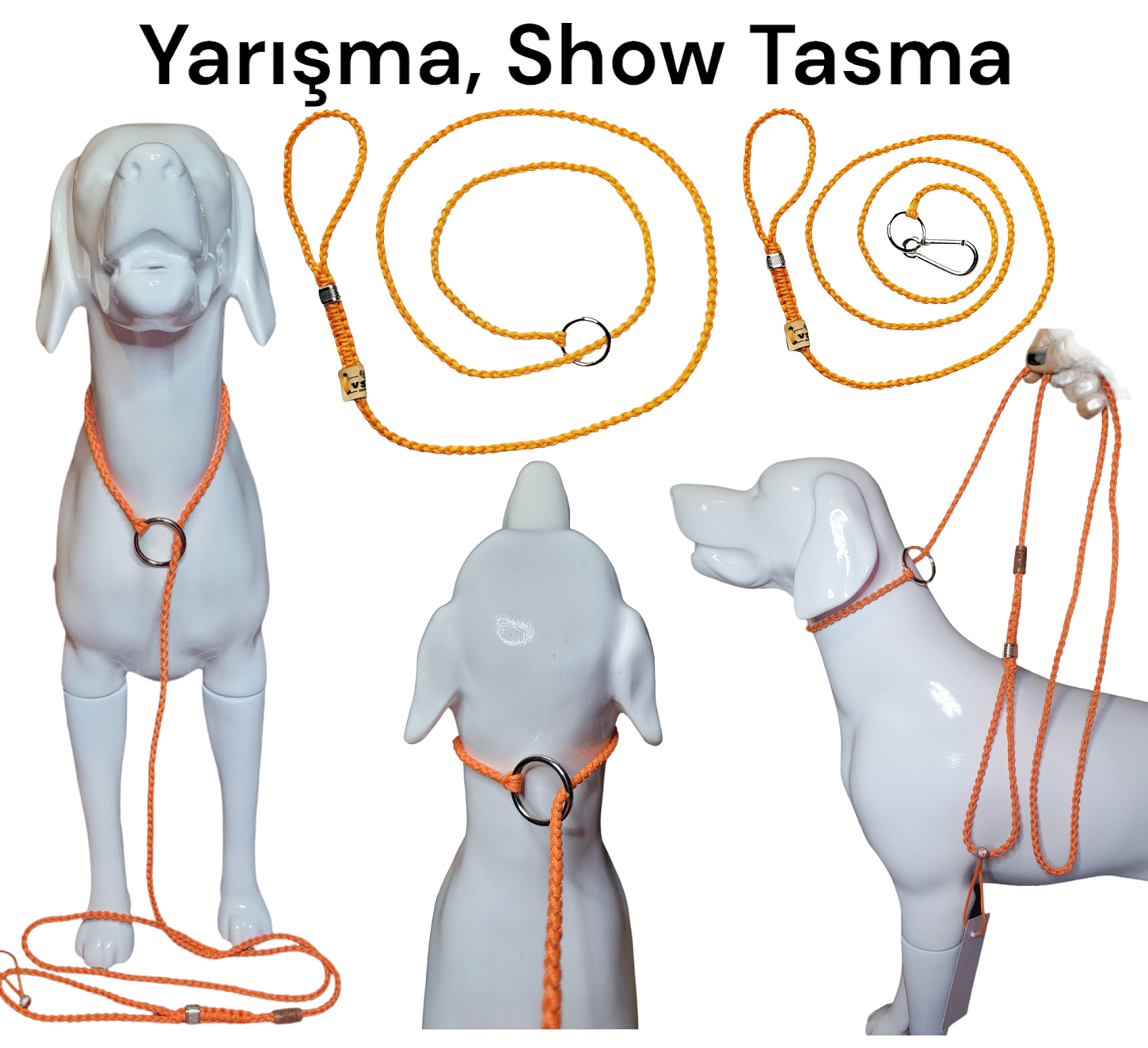 Köpek Yarışma Tasma & Kayışı Turuncu