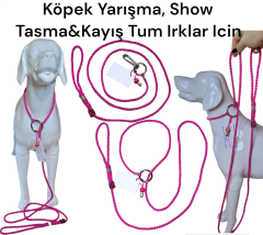 Köpek Yarışma Tasma & Kayışı