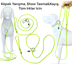 Köpek Yarışma Tasma & Kayışı