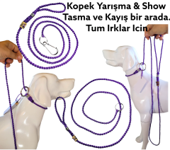 Köpek Yarışma Tasma & Kayışı
