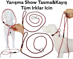 Köpek Yarışma Tasma & Kayışı