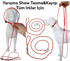 Köpek Yarışma Tasma & Kayışı
