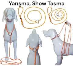 Köpek Yarışma Tasma & Kayışı Turuncu