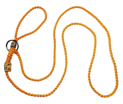 Köpek Yarışma Tasma & Kayışı Turuncu