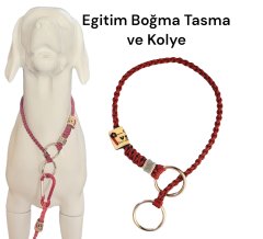 Köpek Egitim Tasma Cift Halkalı Klasik Model