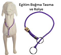 Köpek Egitim Tasma Cift Halkalı Klasik Model